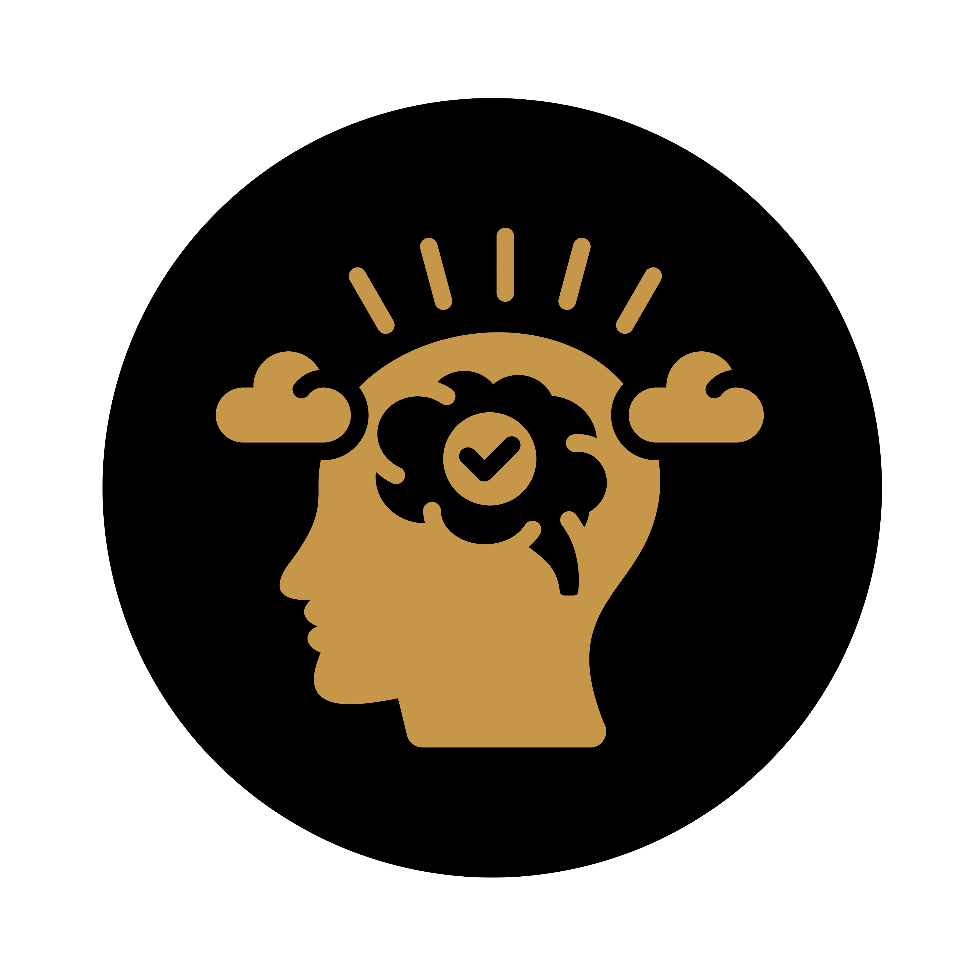 Alt Image